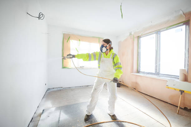 Professional Mold Removal in Jarales, NM