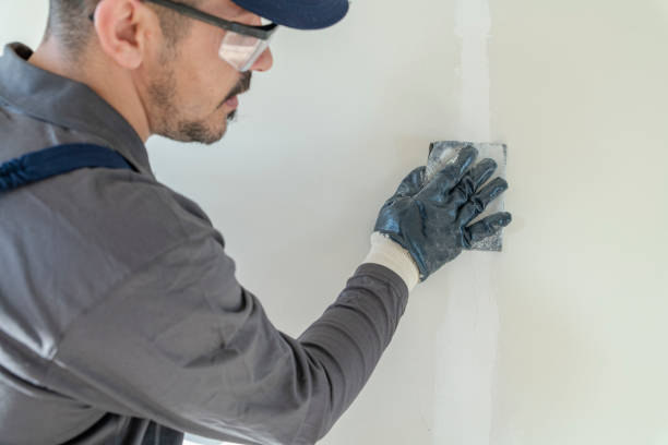 Best Post-Construction Mold Inspection  in Jarales, NM