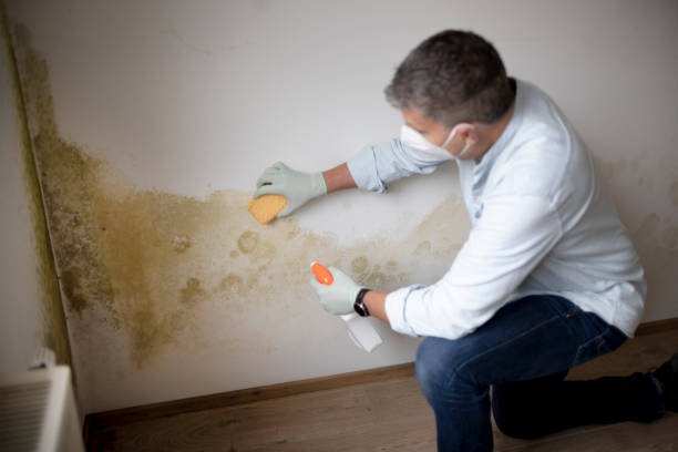 Best Commercial Mold Inspection  in Jarales, NM